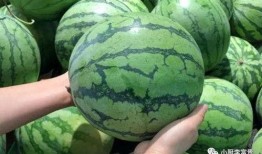 金华最新吃瓜事件爆料是真的吗,真相揭秘还是无稽之谈？